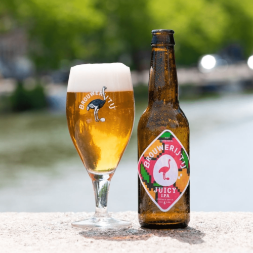 Brouwerij 'T Ij Inda Pale Ale bier inclusief glas.